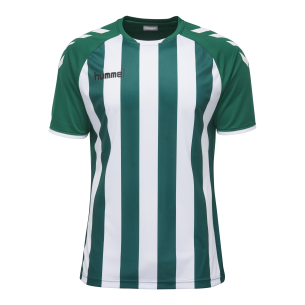 Hummel Core Striped SS Jersey - Vert Foncé & Blanc