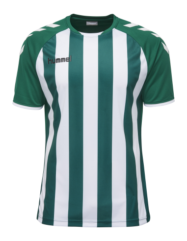 Hummel Core Striped SS Jersey - Vert Foncé & Blanc