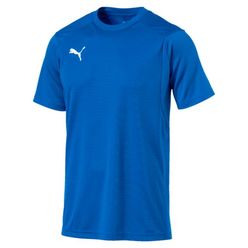 Puma teamLIGA Training Jersey - Bleu