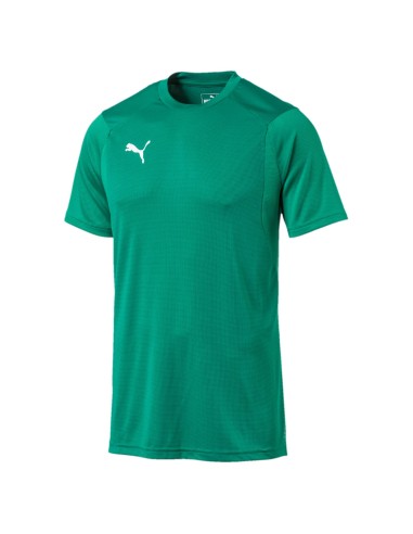 Puma teamLIGA Training Jersey - Vert