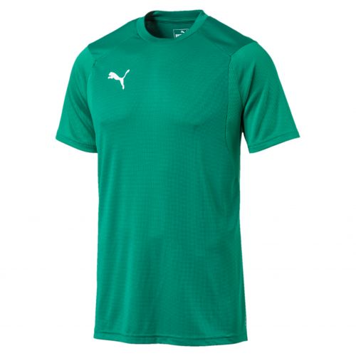 Puma teamLIGA Training Jersey - Vert
