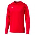 Puma teamLIGA Training Sweat - Rouge