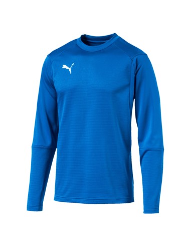 Puma teamLIGA Training Sweat - Royal