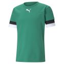 Puma teamRISE Jersey - Vert