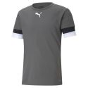 Puma teamRISE Jersey - Gris