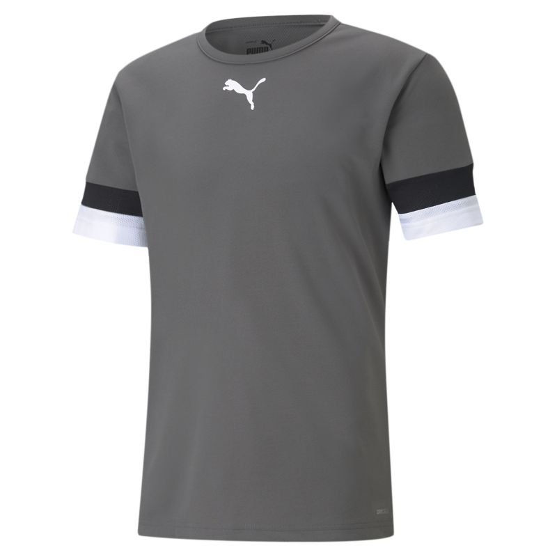 Puma team Rise Jersey - Gris