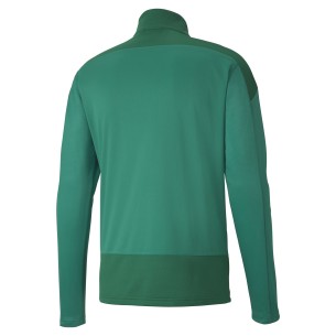 Puma Team Goal Training 1/4 Zip Top - Vert 2