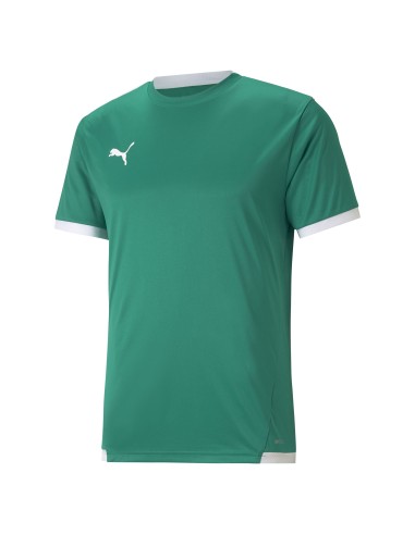 Puma teamLIGA Jersey - Vert