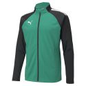 Puma teamLIGA Training Jacket - Vert & Noir