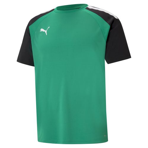 Puma teamLIGA Jersey - Vert & Noir