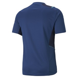 Puma team CUP Training Jersey - Rouge 2