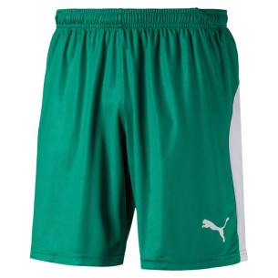 Puma teamLIGA Short - Vert & Blanc