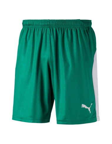 Puma teamLIGA Short - Vert & Blanc