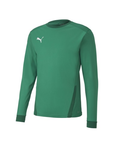 Puma teamGOAL  Jersey LS - Vert