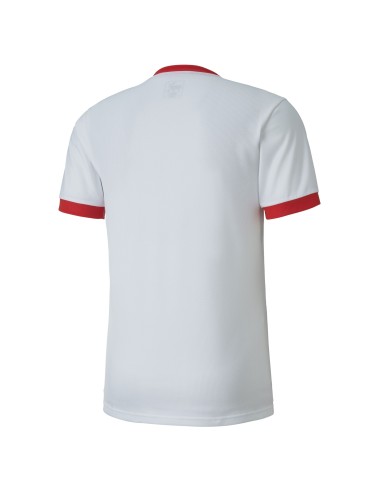 Puma teamGOAL Jersey - Blanc & Rouge
