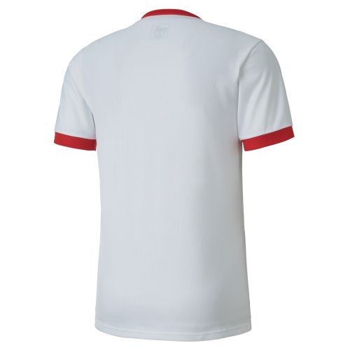 Puma teamGOAL Jersey - Blanc &amp; Rouge