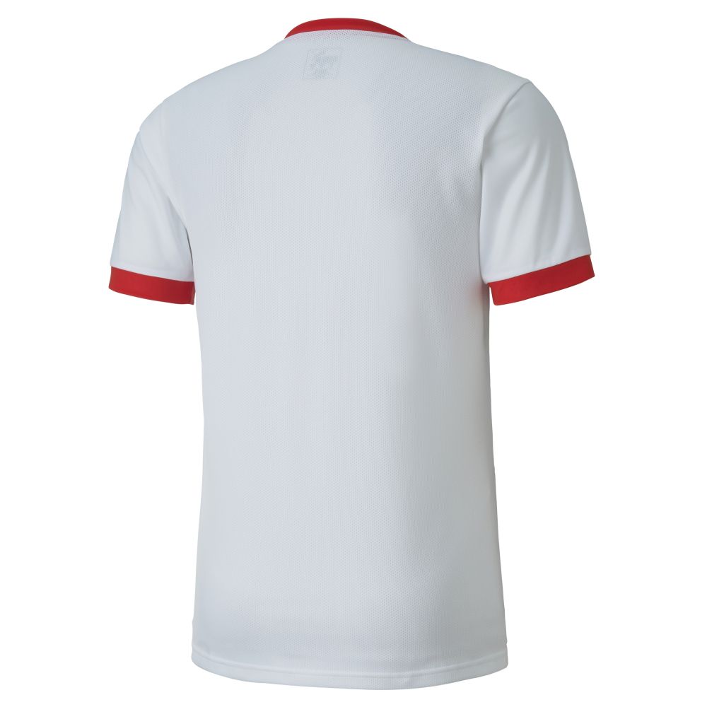 Puma teamGOAL Jersey - Blanc & Rouge