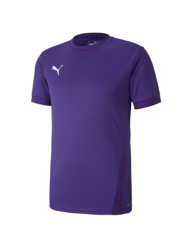 Puma teamGOAL Jersey - Bordeaux