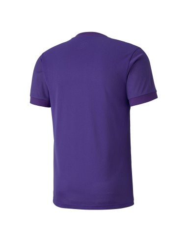 Puma teamGOAL Jersey - Bordeaux