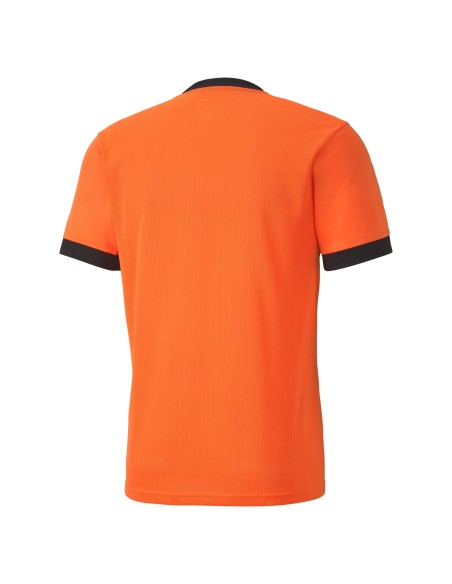 Puma teamGOAL Jersey - Orange & Noir