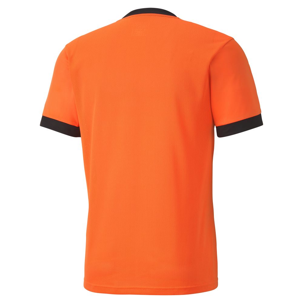 Puma teamGOAL Jersey - Orange & Noir