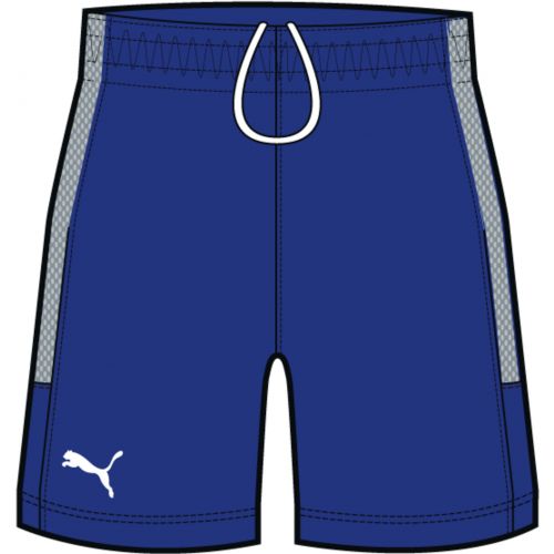 Puma Game Shorts - Bleu