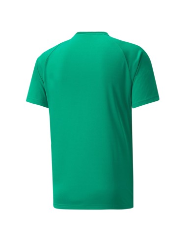 Puma teamVISION Jersey - Vert