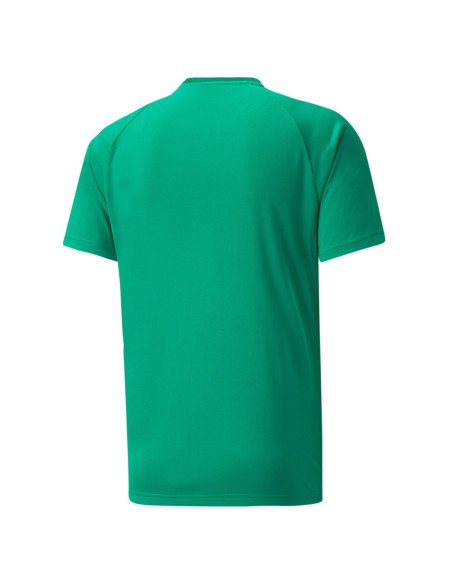 Puma teamVISION Jersey - Vert