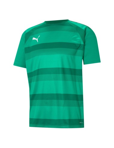 Puma teamVISION Jersey - Vert