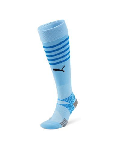 Puma teamFINAL Socks - Light Blue