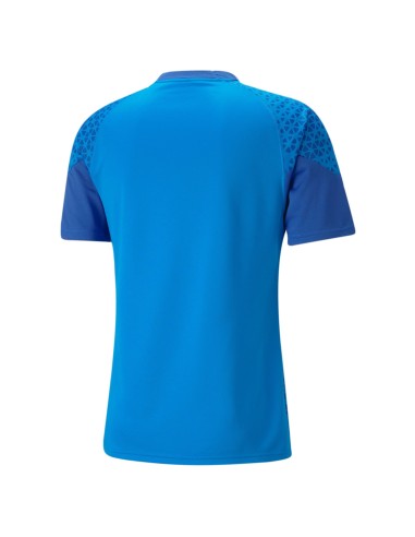 Puma teamCUP Training Jersey - Electric Blue