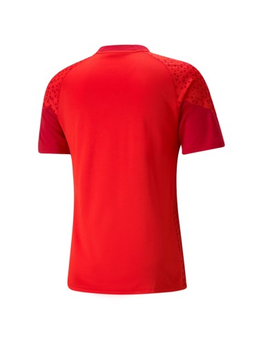 Puma teamCUP Training Jersey - Rouge