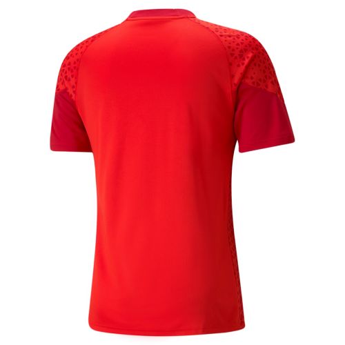 Puma teamCUP Training Jersey - Rouge