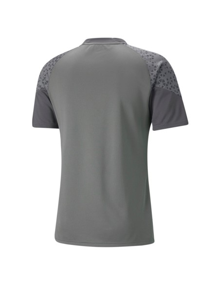 Puma teamCUP Training Jersey - Gris