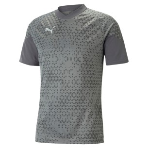 Puma teamCUP Training Jersey - Gris