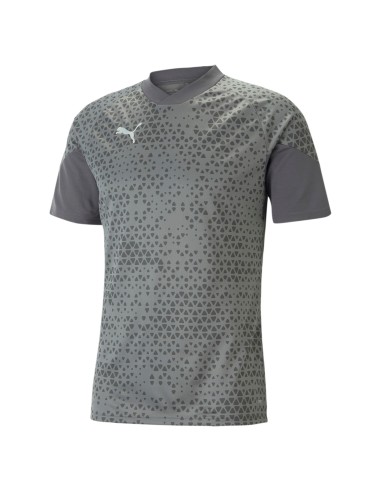 Puma teamCUP Training Jersey - Gris