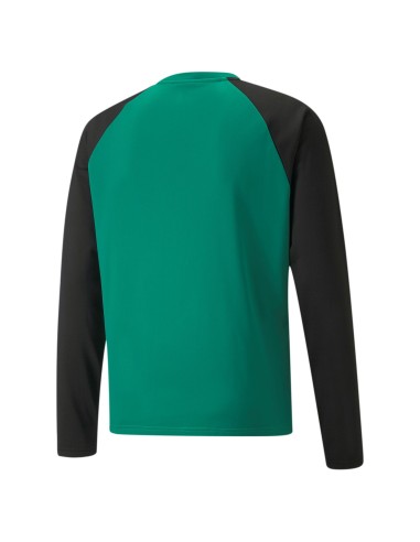 Puma teamLIGA Training Sweat - Vert