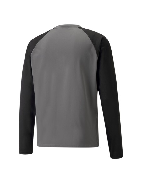 Puma teamLIGA Training Sweat - Gris