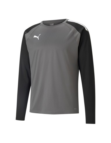 Puma teamLIGA Training Sweat - Gris