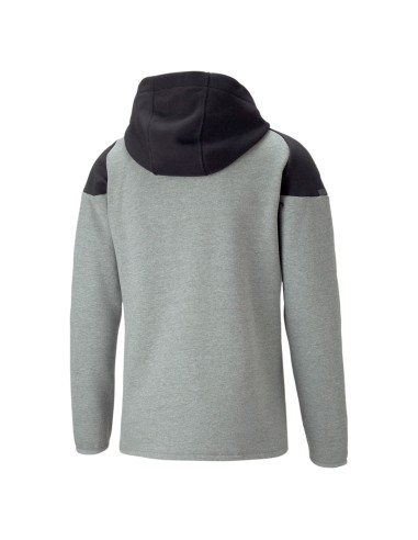 Puma teamCUP Hooded Jacket  - Gris