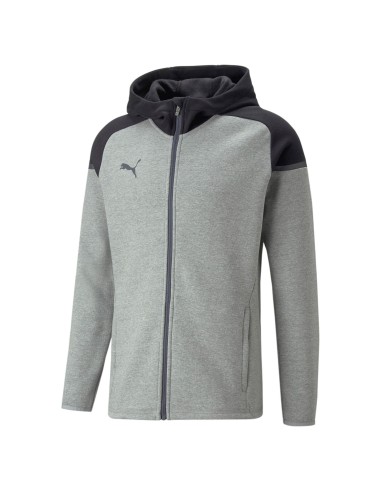 Puma teamCUP Hooded Jacket  - Gris