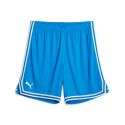 Puma Hoops Team Game Shorts - Bleu