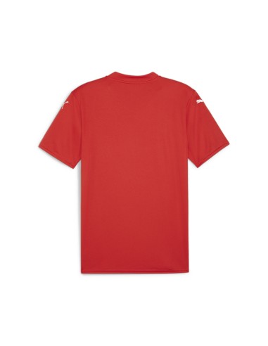 Puma teamGLORY Jersey - Rouge