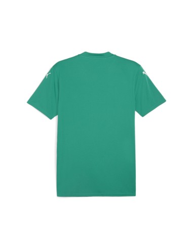 Puma teamGLORY Jersey - Vert