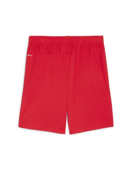 Puma teamGOAL Short - Rouge