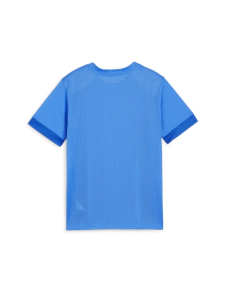 Puma teamGOAL Matchday Jersey - Bleu Royal