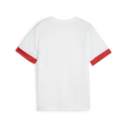 Puma teamGOAL Matchday Jersey - Blanc et Rouge