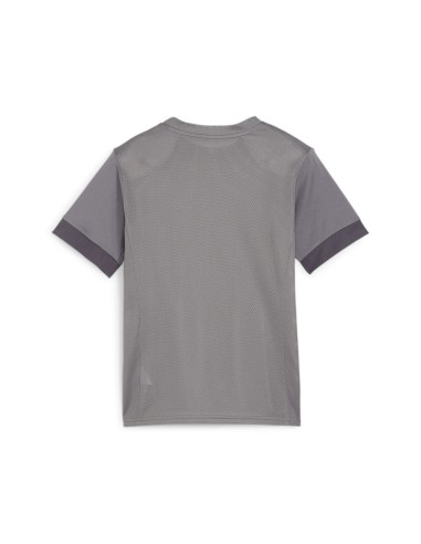 Puma teamGOAL Matchday Jersey - Gris