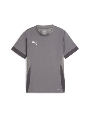 Puma teamGOAL Matchday Jersey - Gris