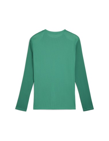 Puma teamGOAL LS Jersey  - Vert